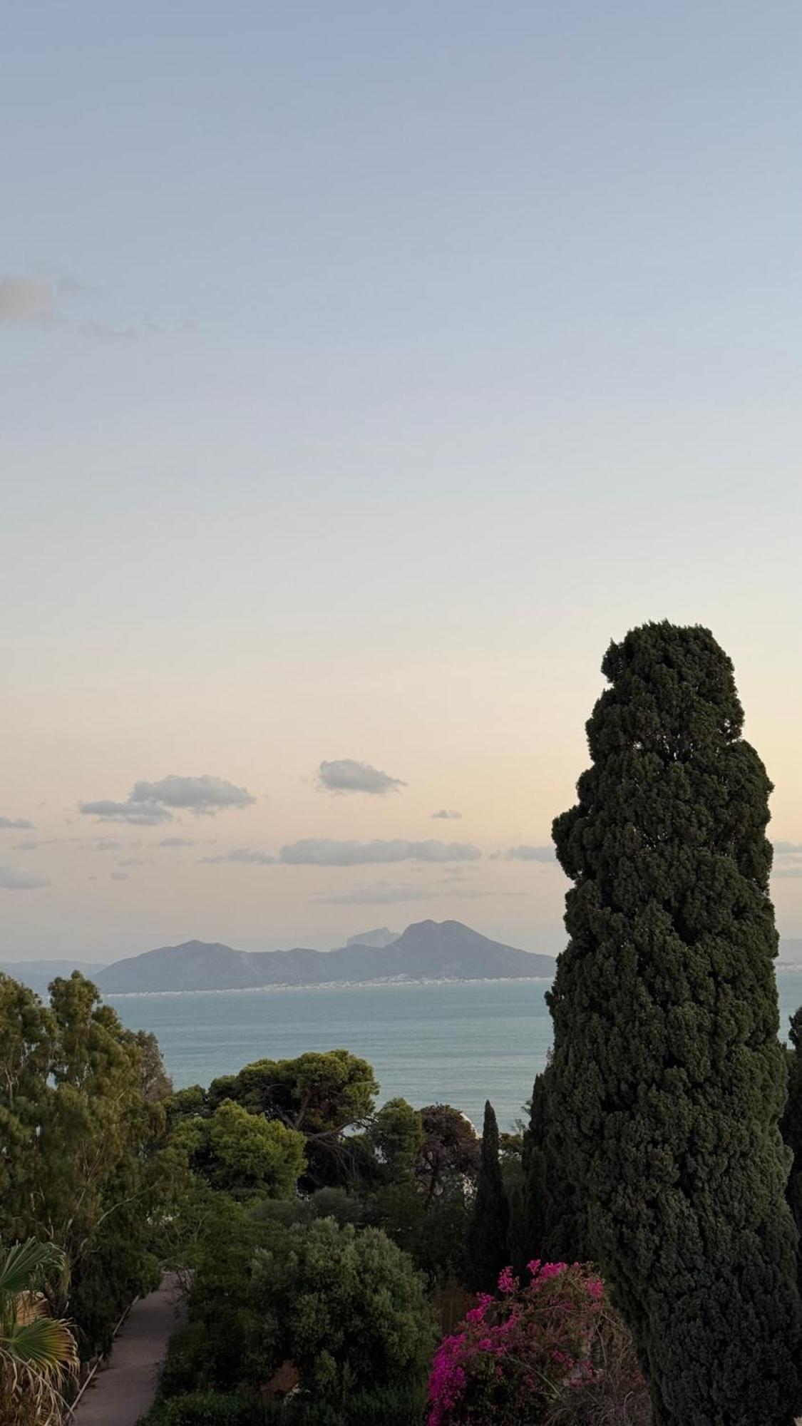 Panoramic 360 Degrees View Sidi Bousaid Sidi Bou Ali Eksteriør billede